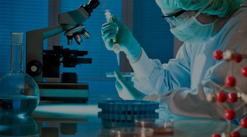 البحث العلمي