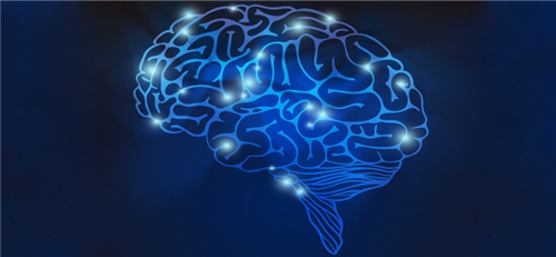 أَبحَاثُ الدِّمَاغِ في عَمَلِيَّةِ التَّعَلُمِ والتَّعلِيمِ