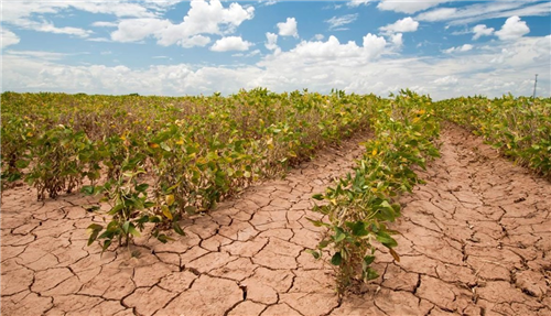 التغيرات المناخية وأثرها على التنمية الزراعية المستدامة